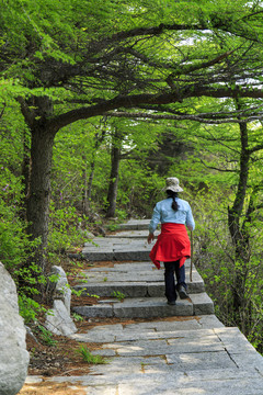 青岛崂山春光