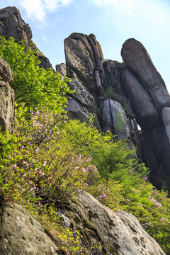 青岛崂山春光