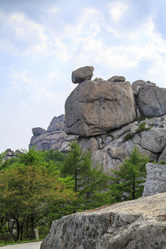 青岛崂山春光