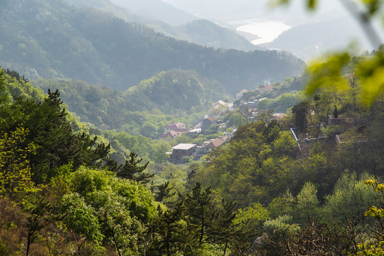 青岛崂山春光