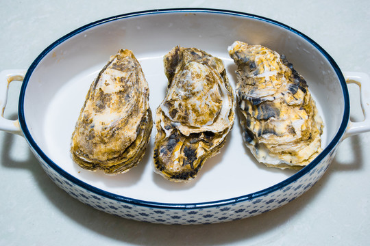 高清海洋食品牡蛎特写