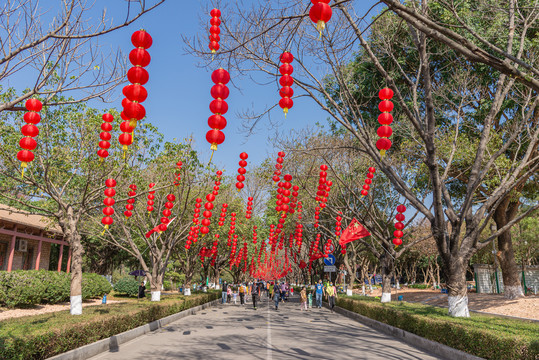 春节挂红灯笼