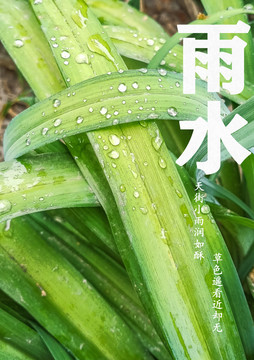 雨水