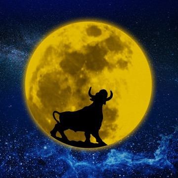 月亮与牛