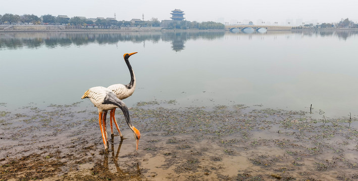 聊城风光