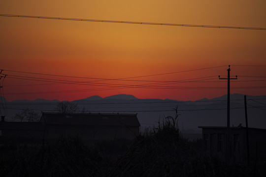 夕阳下的卢苇草