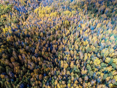 无人机航拍七彩森林