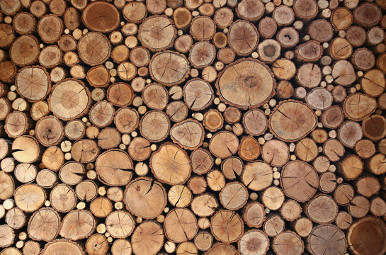 木头桩背景素材