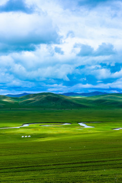 莫日格勒河夏季草原蒙古包