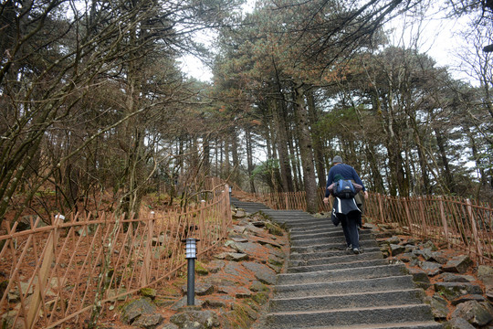 黄山登山道