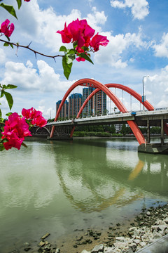丽江花园彩虹桥