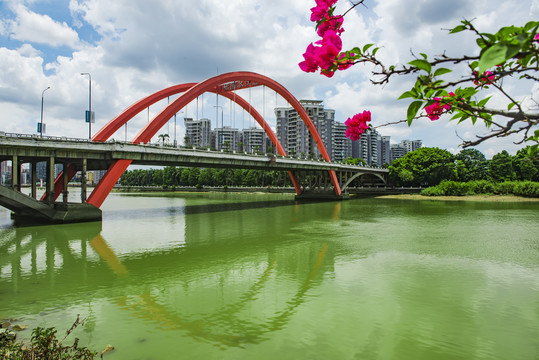 丽江花园