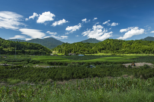 田园风光