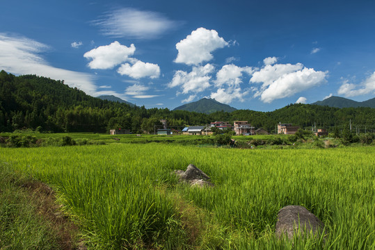 乡村田园风光