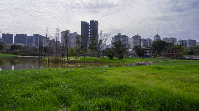 湖面映衬着都市建筑