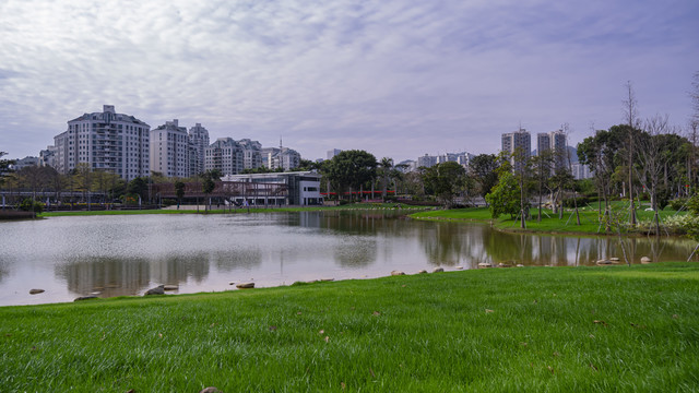 映衬这都市建筑的湖面