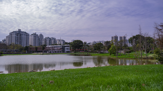 映衬这都市建筑的湖面