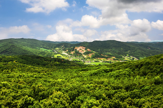 远山森林