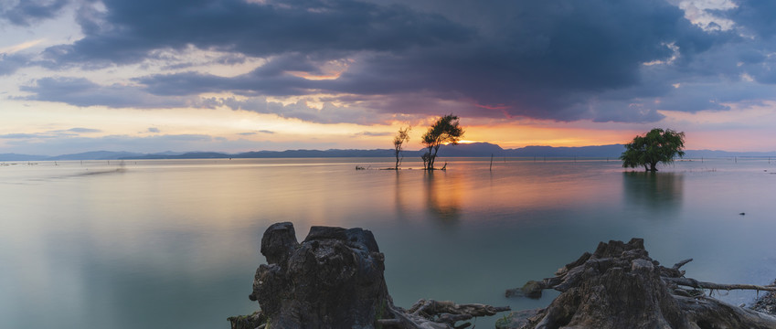 晚霞湖泊树与水面光影全景