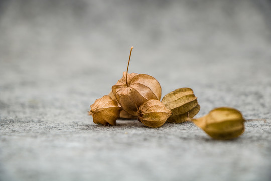 龙珠果