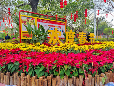 欢度春节花坛