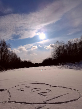 雪原