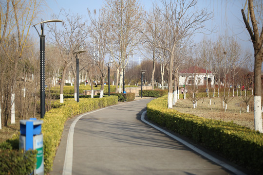 公园景观道路