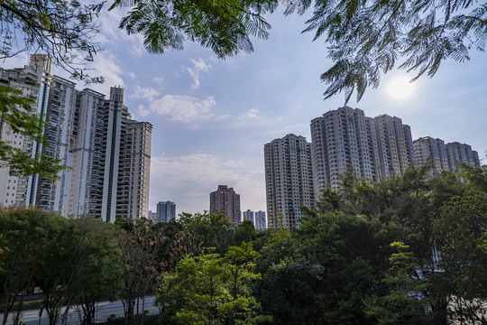 深圳福田区的建筑