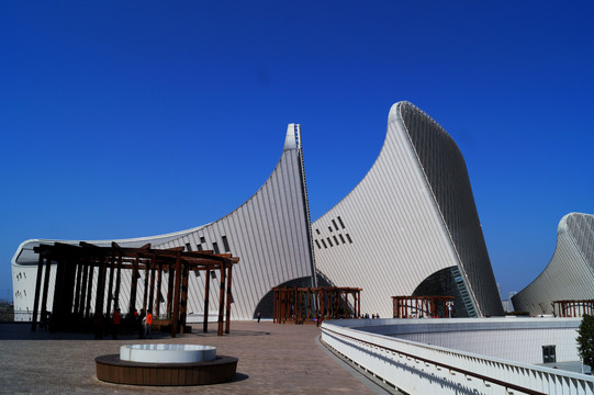 福州海峡文化艺术中心