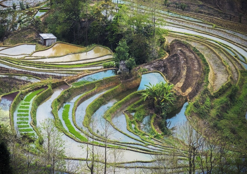 元阳梯田