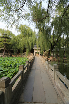北京颐和园谐趣园知鱼桥