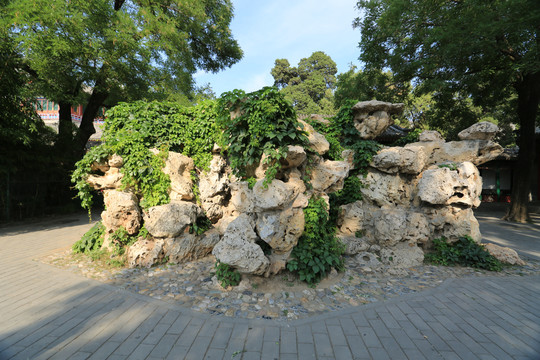 北京颐和园宜芸馆狮子林假山石