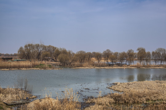 高邮湖湿地生态系统