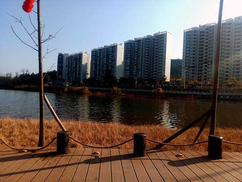 海边阳光