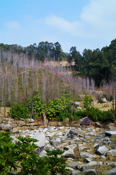 福山郊野公园