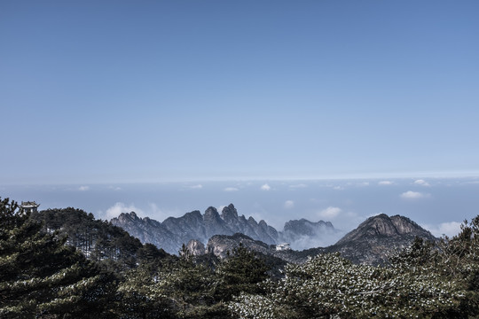 群山雪松