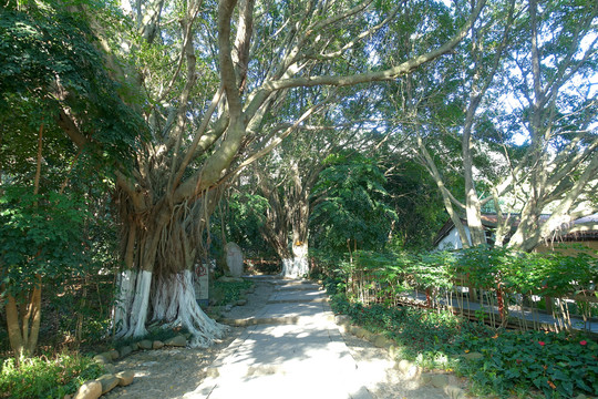 清源山风景区