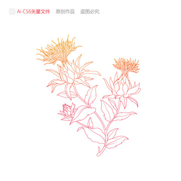 刺红花