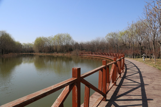 池塘岸边的木栈桥