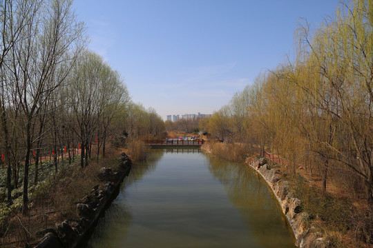 河岸景观