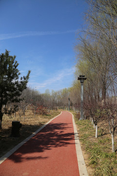 园林景观步道