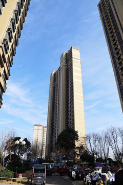 高楼