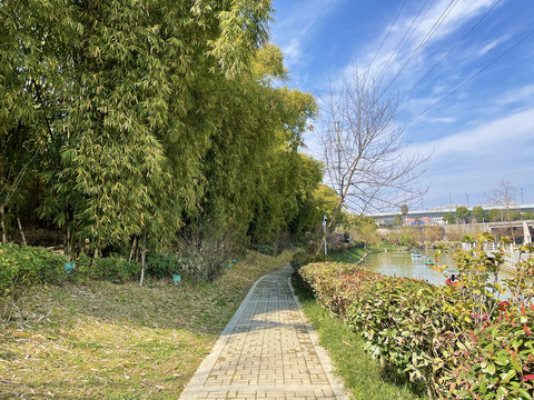 公园健康步道