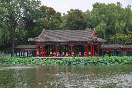 北京市大观园公园