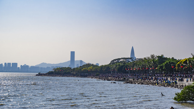 深圳湾海面遥望现代建筑