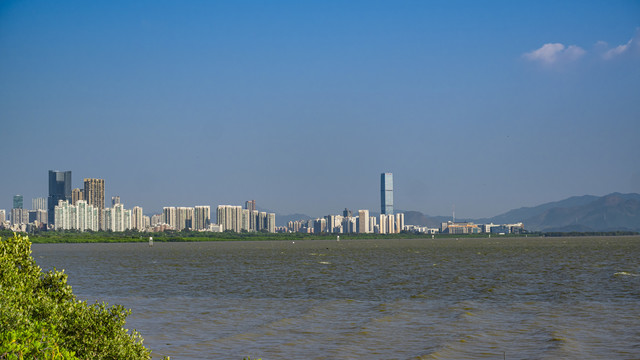 深圳湾海面遥望现代建筑