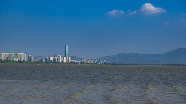 深圳湾海面遥望现代建筑