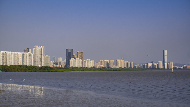 深圳湾海面遥望现代建筑