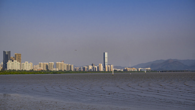 深圳湾海面遥望现代建筑