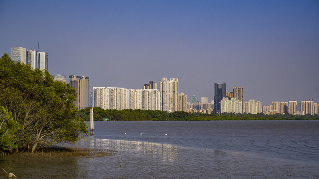 深圳湾海面遥望现代建筑